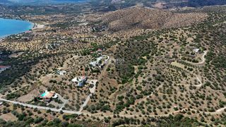 Αγροτεμάχια 34.000 τ.μ. για πώληση, Αργολίδα, Ερμιόνη-thumb-15