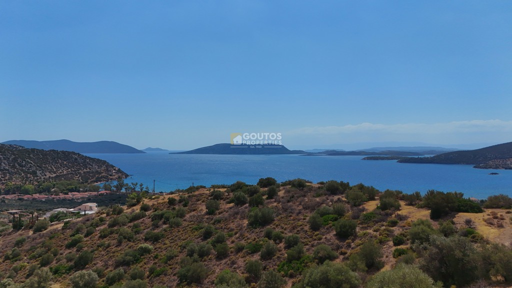 Αγροτεμάχια 34.000 τ.μ. προς πώληση, Αχλαδίτσα