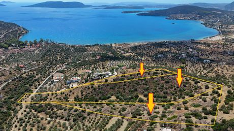 Αγροτεμάχια 34.000τ.μ. για πώληση-Ερμιόνη