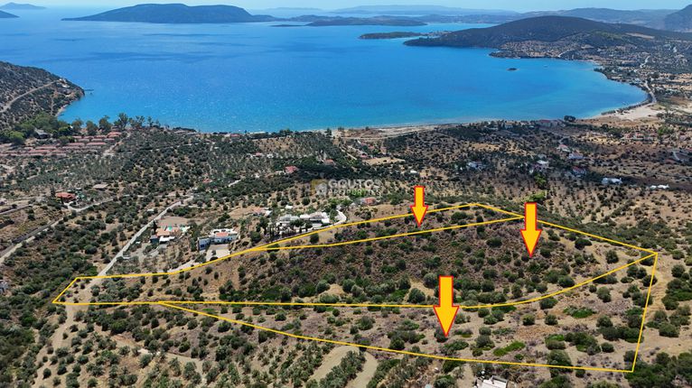 Αγροτεμάχια 34.000 τ.μ. για πώληση, Αργολίδα, Ερμιόνη