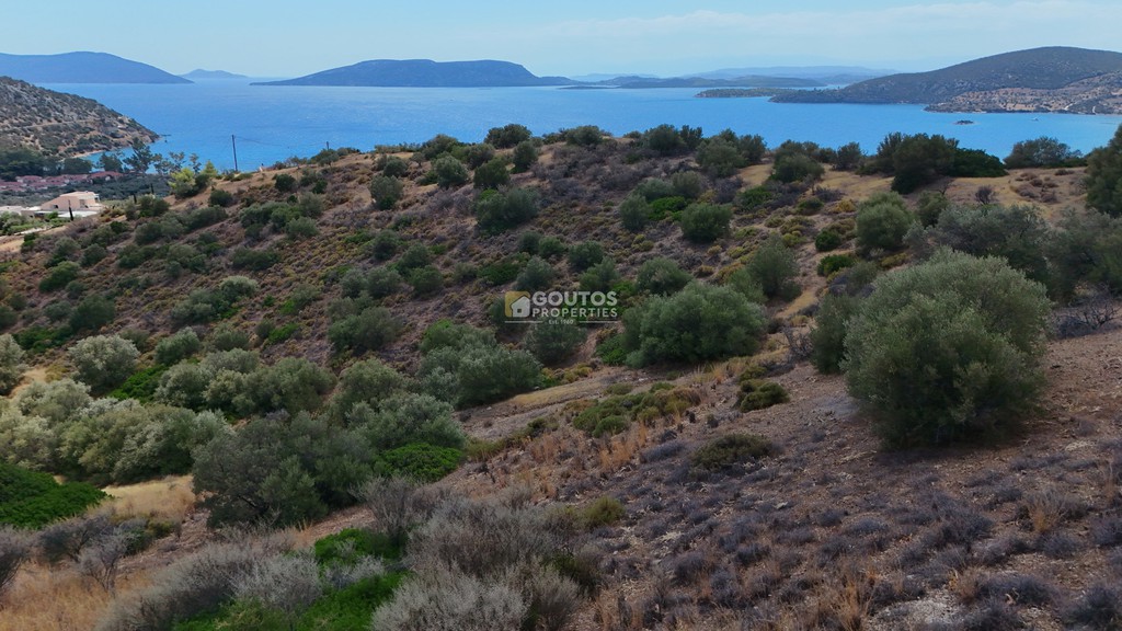 Αγροτεμάχια 34.000 τ.μ. προς πώληση, Αχλαδίτσα