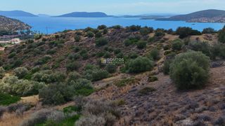 Αγροτεμάχια 34.000 τ.μ. για πώληση, Αργολίδα, Ερμιόνη-thumb-4