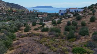 Αγροτεμάχια 34.000 τ.μ. για πώληση, Αργολίδα, Ερμιόνη-thumb-28