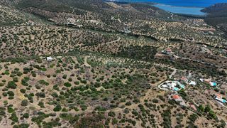 Αγροτεμάχια 34.000 τ.μ. για πώληση, Αργολίδα, Ερμιόνη-thumb-20