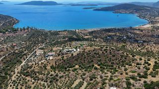 Αγροτεμάχια 34.000 τ.μ. για πώληση, Αργολίδα, Ερμιόνη-thumb-9