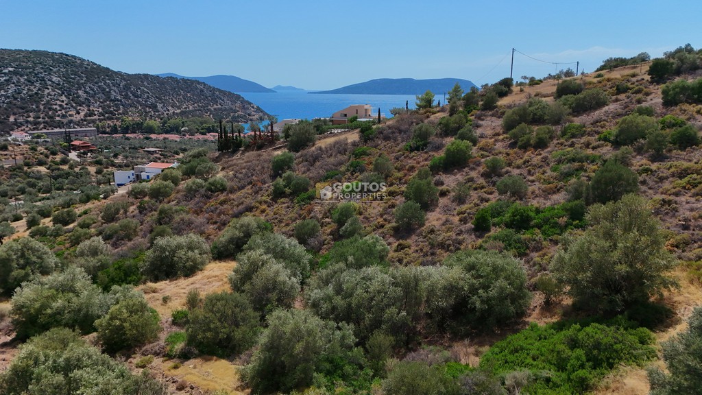Αγροτεμάχια 34.000 τ.μ. προς πώληση, Αχλαδίτσα