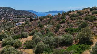 Αγροτεμάχια 34.000 τ.μ. για πώληση, Αργολίδα, Ερμιόνη-thumb-1