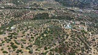 Αγροτεμάχια 34.000 τ.μ. για πώληση, Αργολίδα, Ερμιόνη-thumb-14