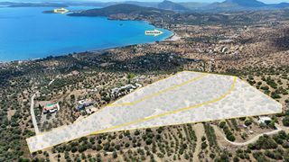 Αγροτεμάχια 34.000 τ.μ. για πώληση, Αργολίδα, Ερμιόνη-thumb-7