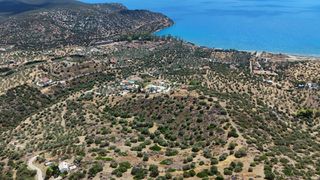 Αγροτεμάχια 34.000 τ.μ. για πώληση, Αργολίδα, Ερμιόνη-thumb-6