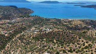 Αγροτεμάχια 34.000 τ.μ. για πώληση, Αργολίδα, Ερμιόνη-thumb-8