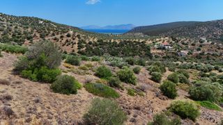 Αγροτεμάχια 34.000 τ.μ. για πώληση, Αργολίδα, Ερμιόνη-thumb-21