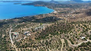 Αγροτεμάχια 34.000 τ.μ. για πώληση, Αργολίδα, Ερμιόνη-thumb-10