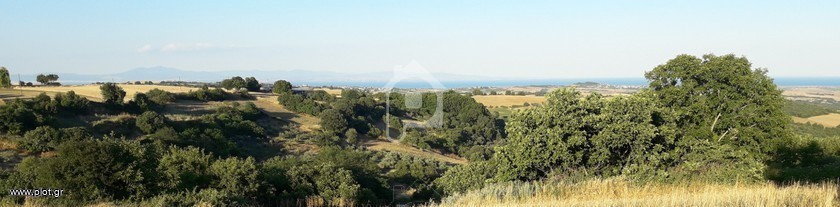 Αγροτεμάχια 55.000 τ.μ. πρός πώληση, Ν. Πιερίας, Ελαφίνα
