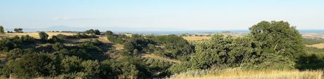 Parcel 55.000 sqm for sale