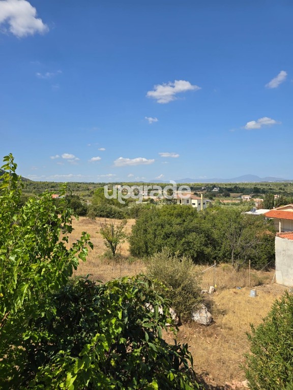 Αγροτεμάχια 7.500 τ.μ. πρός πώληση, Αττική - Υπόλοιπο, Αυλώνα