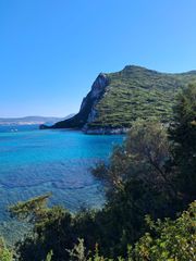 Αγροτεμάχια 14.083 τ.μ. για πώληση, Μεσσηνία, Νέστορας-thumb-6