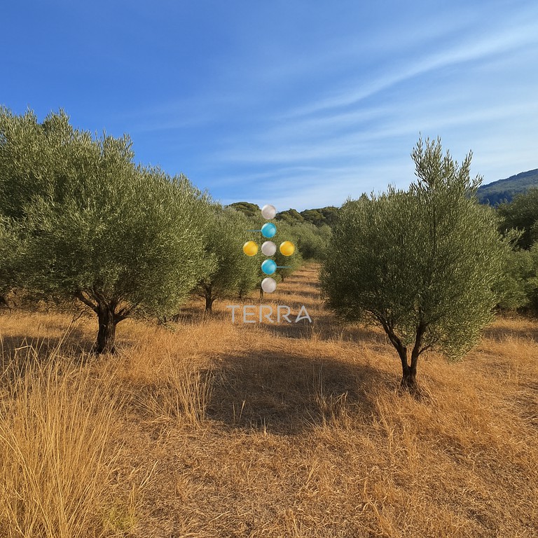 Οικόπεδο 2.703 τ.μ. πρός πώληση, Ν. Ρεθύμνου, Λάμπη