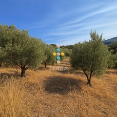 Οικόπεδο 2.703 τ.μ. για πώληση
