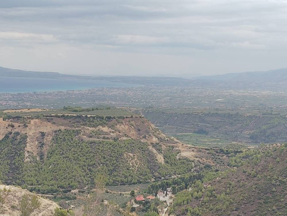 Αγροτεμάχια 19.800 τ.μ. πρός πώληση, Κορινθία, Σικυώνα