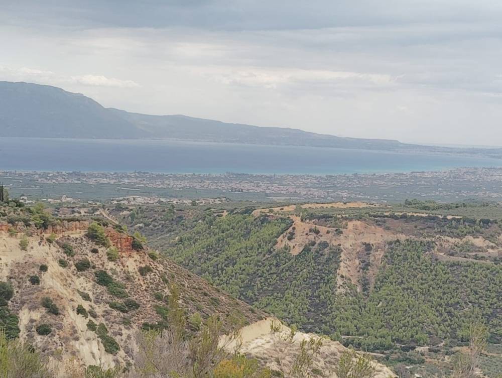 Αγροτεμάχια 19.800 τ.μ. πρός πώληση, Κορινθία, Σικυώνα