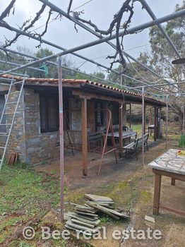 Detached home 65sqm for sale-Argalasti » Mazaraki