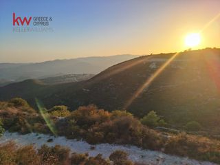 Αγροτεμάχια 29.089 τ.μ. για πώληση