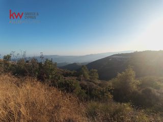 Αγροτεμάχια 29.089 τ.μ. για πώληση, Λευκωσία-thumb-2