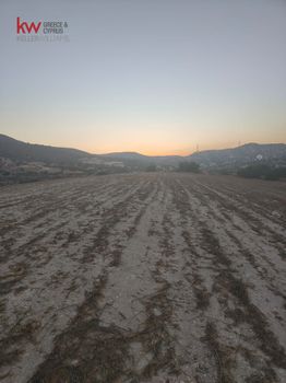 Αγροτεμάχια 3.345τ.μ. για πώληση-