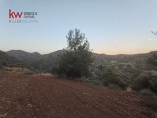 Αγροτεμάχια 11.039 τ.μ. για πώληση, Λάρνακα-thumb-10
