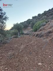 Αγροτεμάχια 11.039 τ.μ. για πώληση, Λάρνακα-thumb-7