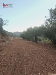Αγροτεμάχια 11.039 τ.μ. για πώληση, Λάρνακα-thumb-6
