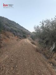 Αγροτεμάχια 11.039 τ.μ. για πώληση, Λάρνακα-thumb-5