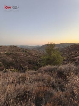 Αγροτεμάχια 11.039τ.μ. για πώληση-