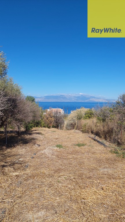 Οικόπεδο 1.330 τ.μ. προς πώληση, Λυκοποριά