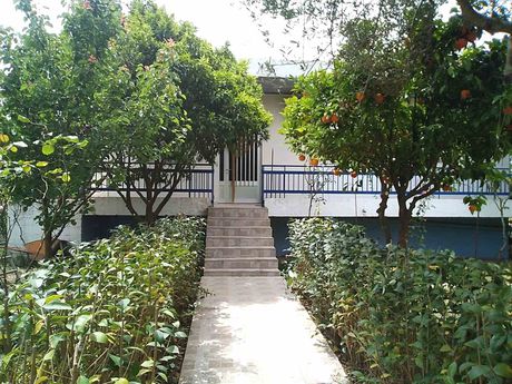 Detached home 103sqm for sale-Pirgos » Koliri