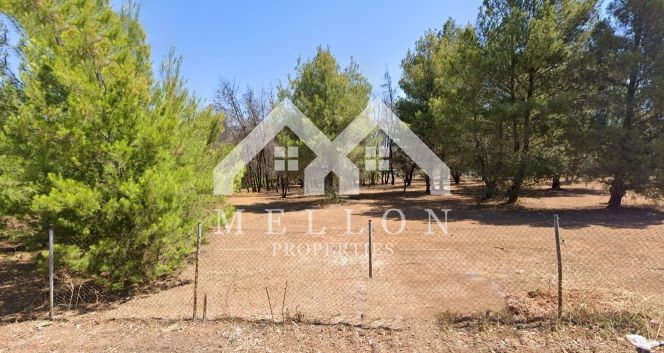 Land plot 5.260 sqm for sale, Athens - North, Kifisia