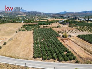 Οικόπεδο 10.066,37 τ.μ. για πώληση, Αργολίδα, Ναύπλιο-thumb-3