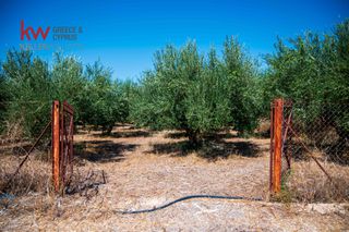 Οικόπεδο 10.066,37 τ.μ. για πώληση, Αργολίδα, Ναύπλιο-thumb-23