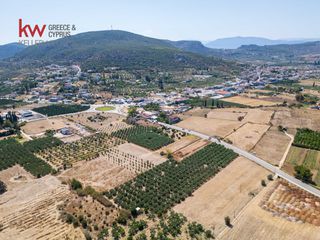 Οικόπεδο 10.066,37 τ.μ. για πώληση, Αργολίδα, Ναύπλιο-thumb-9
