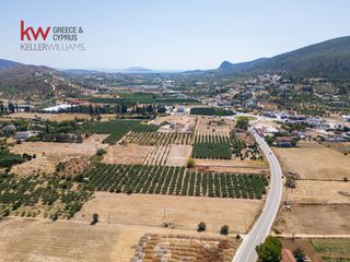 Οικόπεδο 10.066,37 τ.μ. για πώληση, Αργολίδα, Ναύπλιο-thumb-6