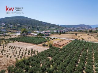 Οικόπεδο 10.066,37 τ.μ. για πώληση, Αργολίδα, Ναύπλιο-thumb-11
