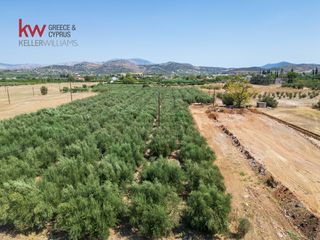 Οικόπεδο 10.066,37 τ.μ. για πώληση, Αργολίδα, Ναύπλιο-thumb-19