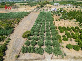 Οικόπεδο 2.968,91 τ.μ. για πώληση, Αργολίδα, Ναύπλιο-thumb-8