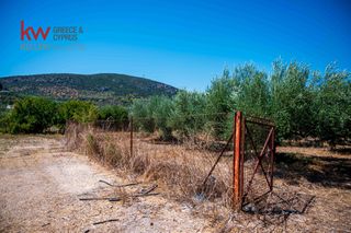 Οικόπεδο 2.968,91 τ.μ. για πώληση, Αργολίδα, Ναύπλιο-thumb-22