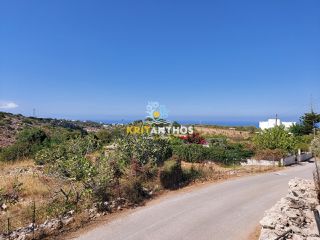 Οικόπεδο 8.259 τ.μ. για πώληση