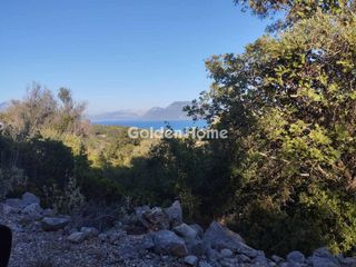 Αγροτεμάχια 4.100 τ.μ. για πώληση
