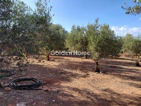 Οικόπεδο 2.270 τ.μ. προς πώληση