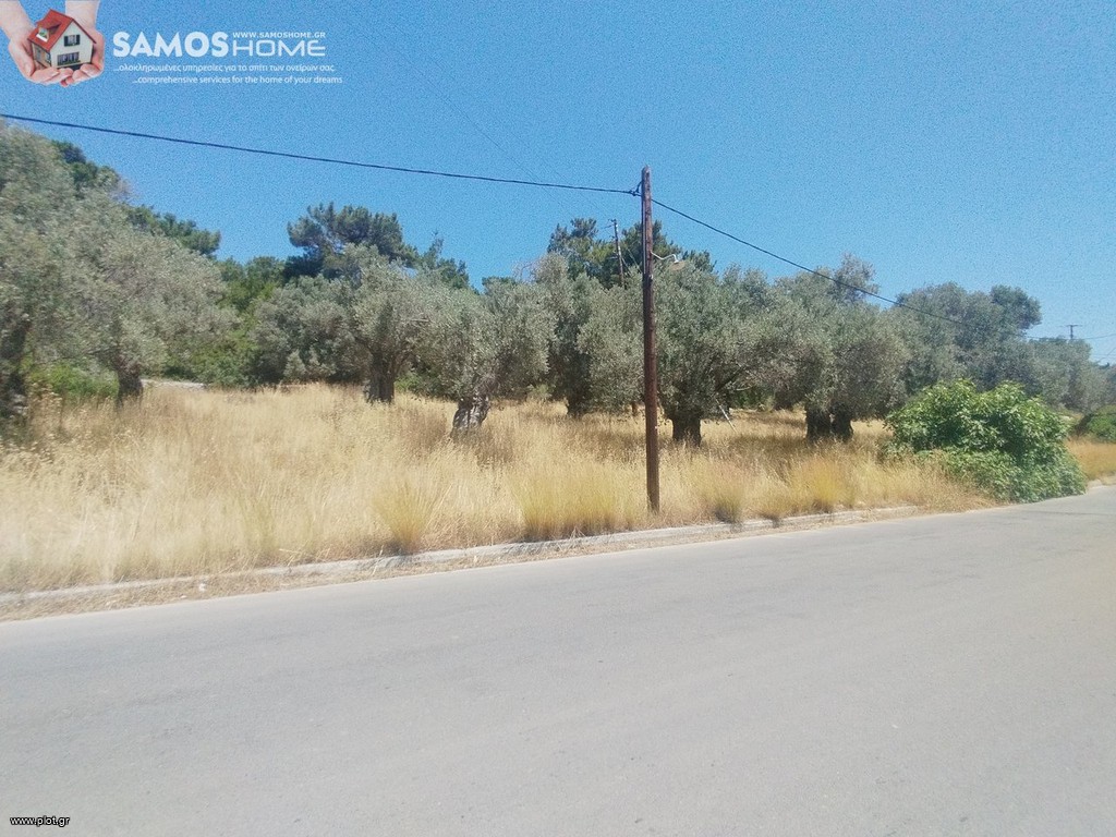 Αγροτεμάχια 1.653 τ.μ. για πώληση, Ν. Σάμου, Σάμος