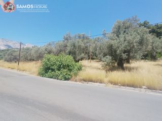Αγροτεμάχια 1.653 τ.μ. για πώληση, Ν. Σάμου, Σάμος-thumb-1